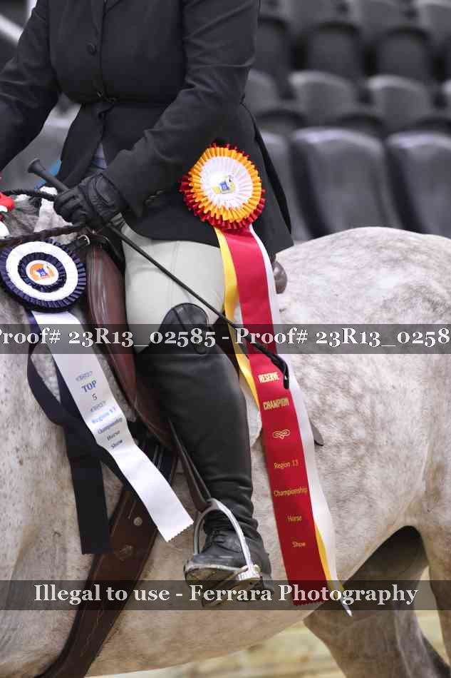Proof 23R13_02585