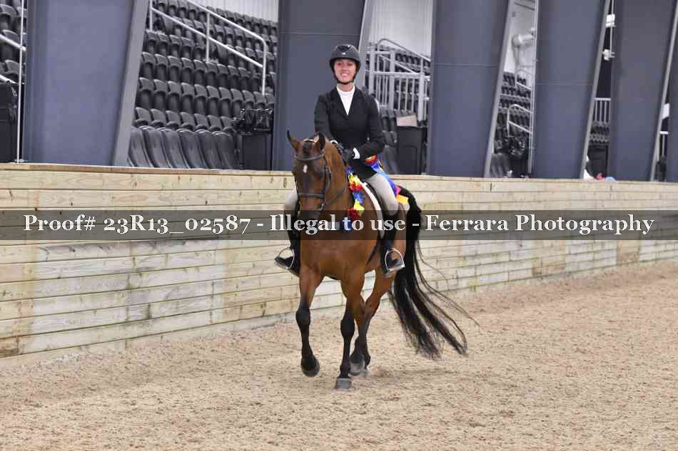 Proof 23R13_02587