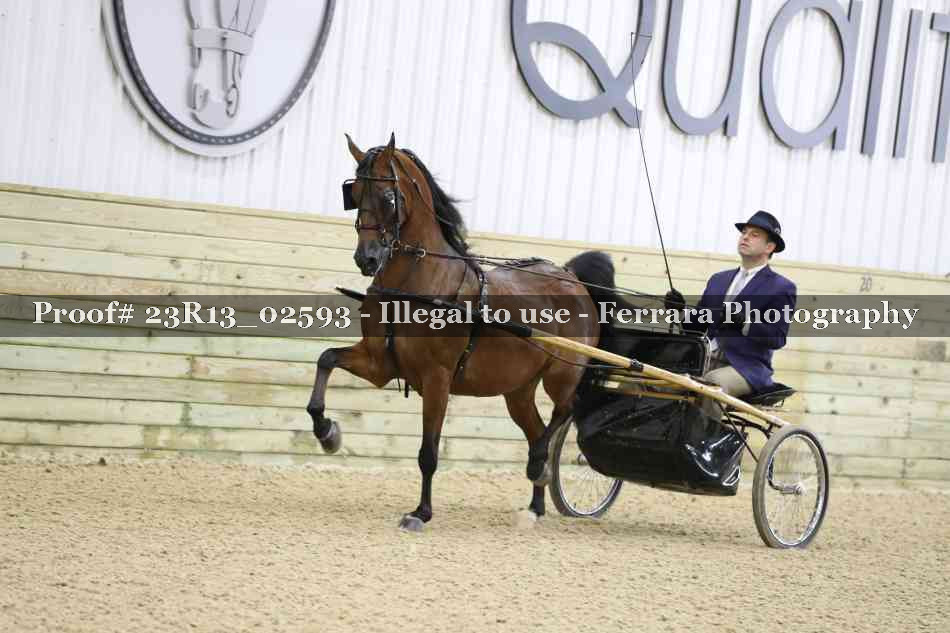 Proof 23R13_02593