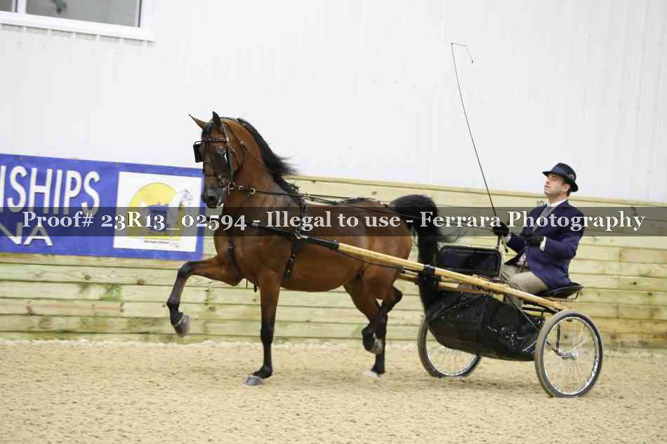 Proof 23R13_02594