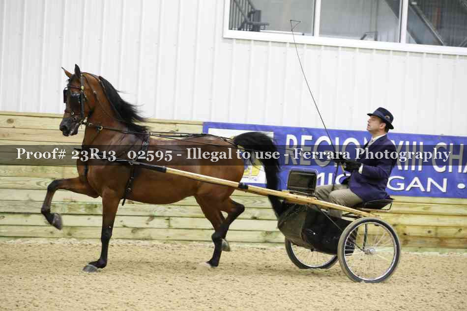 Proof 23R13_02595