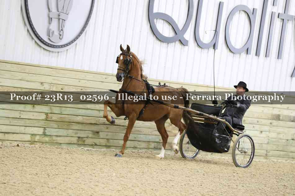 Proof 23R13_02596