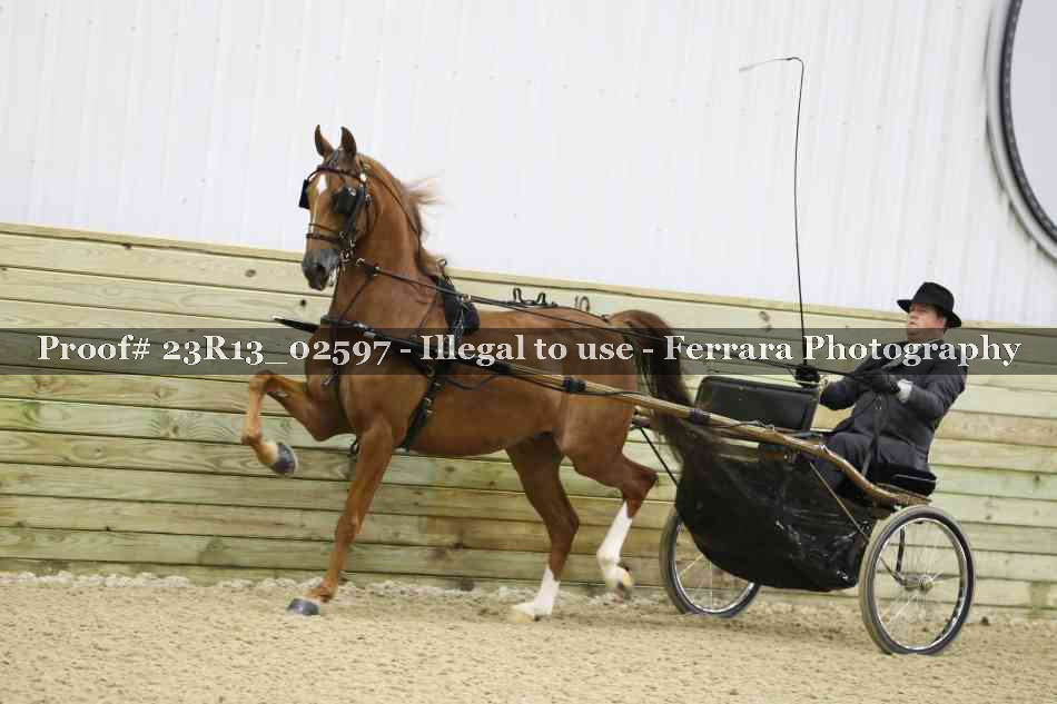 Proof 23R13_02597
