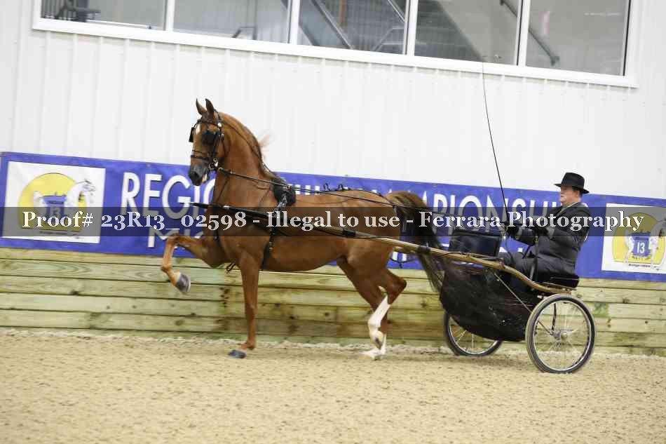 Proof 23R13_02598