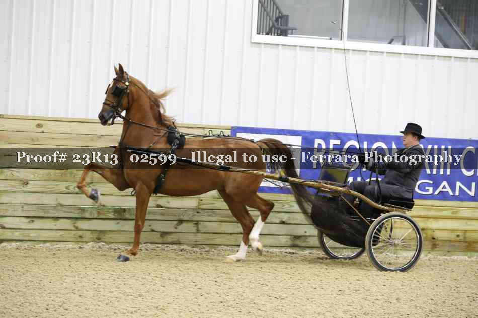 Proof 23R13_02599