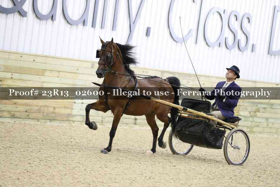 Proof 23R13_02600