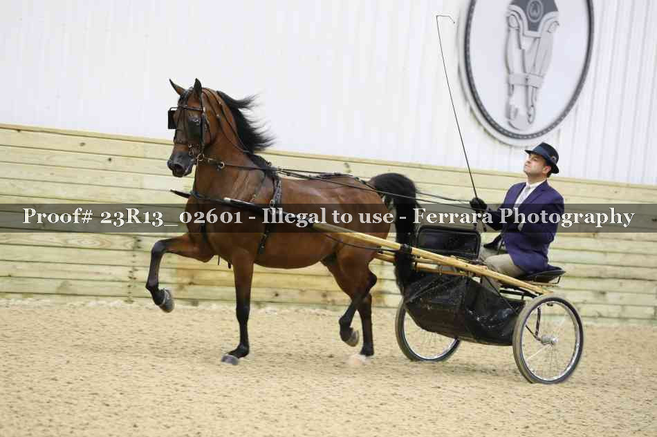 Proof 23R13_02601