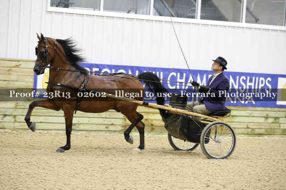 Proof 23R13_02602