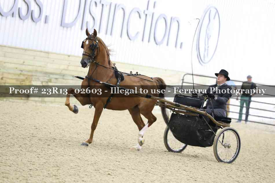 Proof 23R13_02603