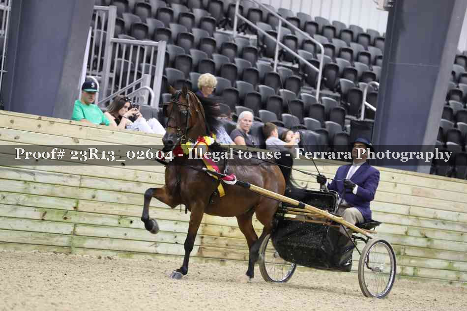 Proof 23R13_02604