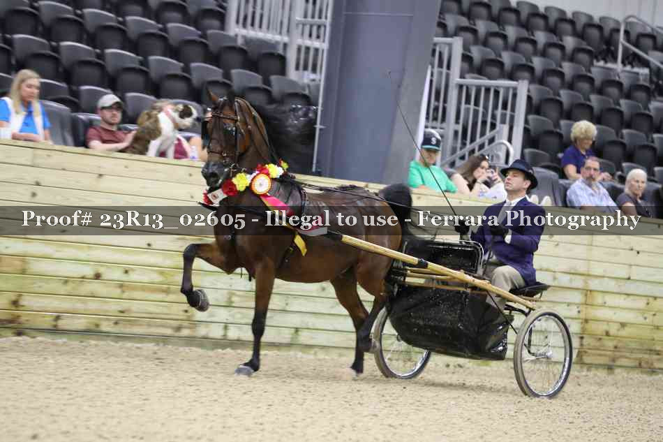 Proof 23R13_02605