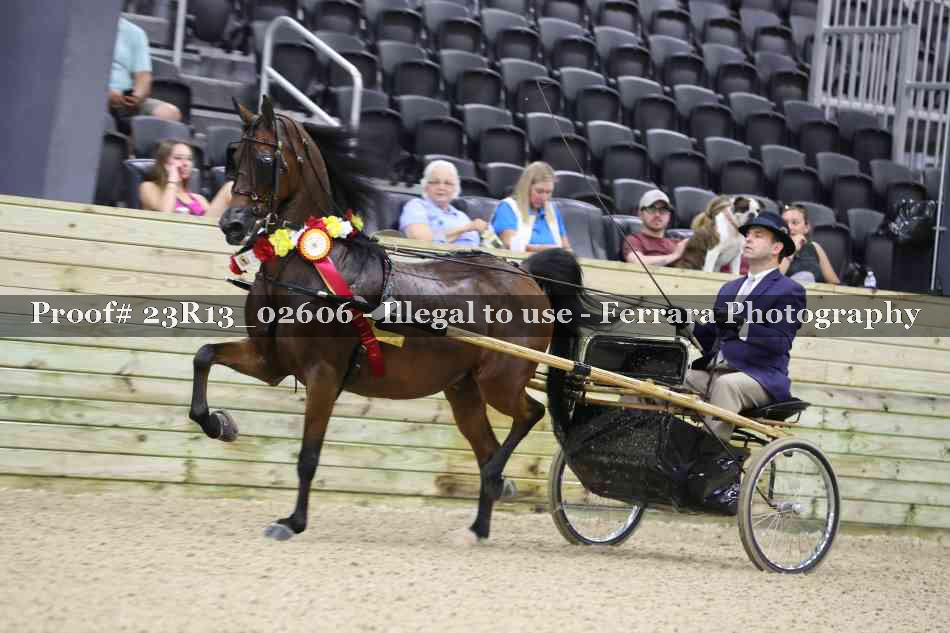 Proof 23R13_02606