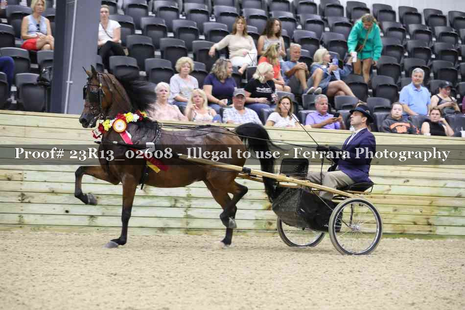 Proof 23R13_02608