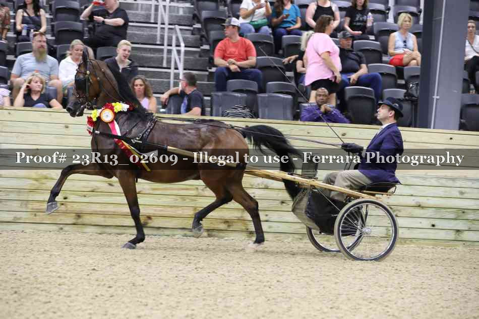 Proof 23R13_02609