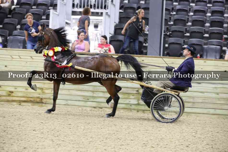 Proof 23R13_02610
