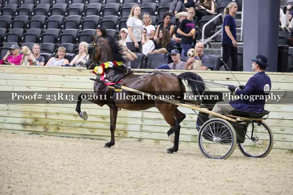 Proof 23R13_02611