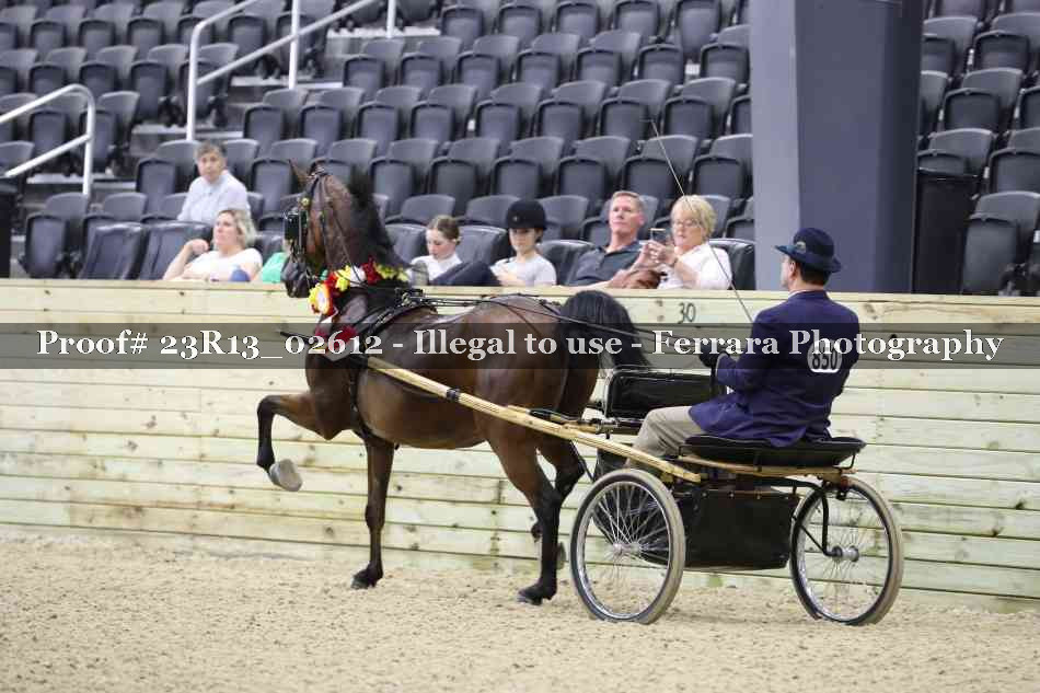 Proof 23R13_02612