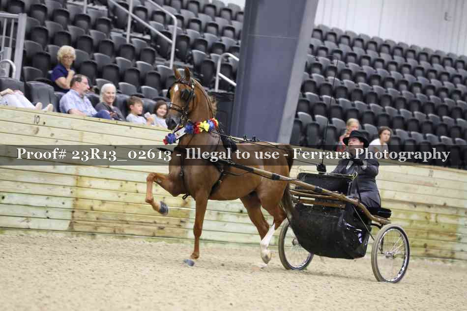 Proof 23R13_02613