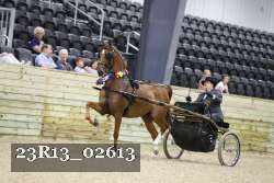 23R13_02613 proof