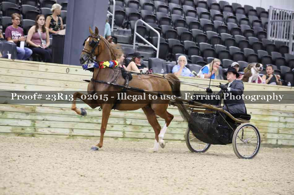 Proof 23R13_02615