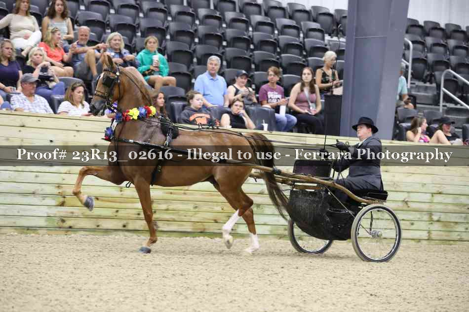 Proof 23R13_02616