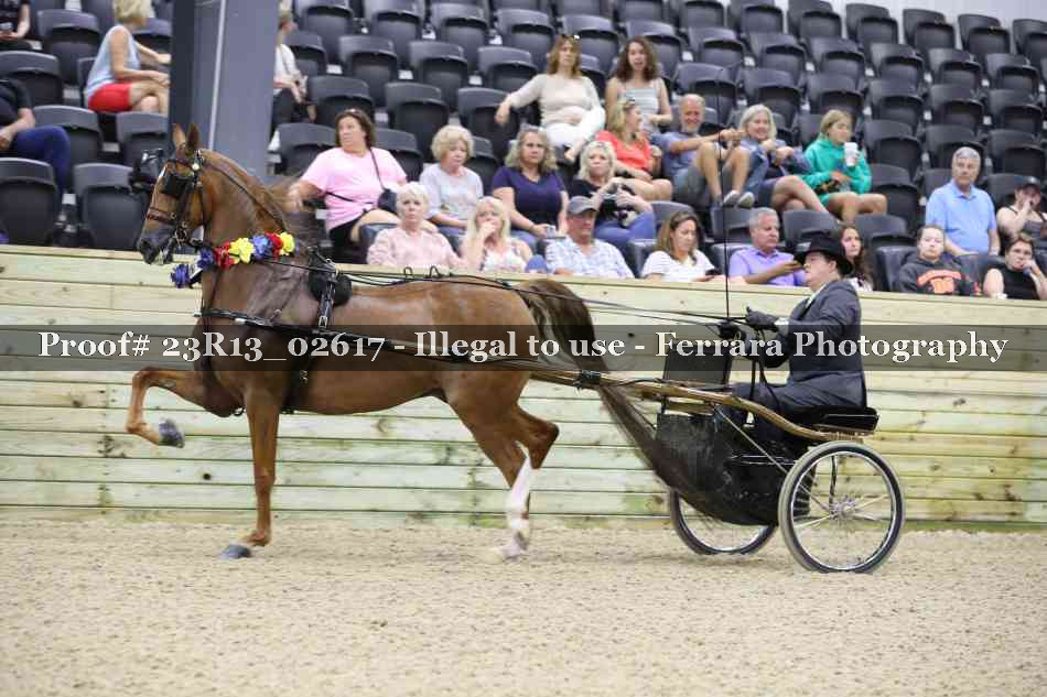 Proof 23R13_02617