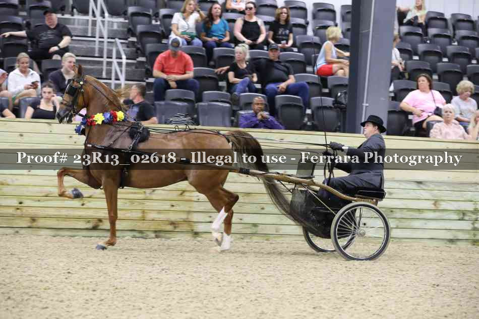 Proof 23R13_02618