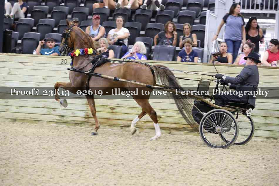 Proof 23R13_02619