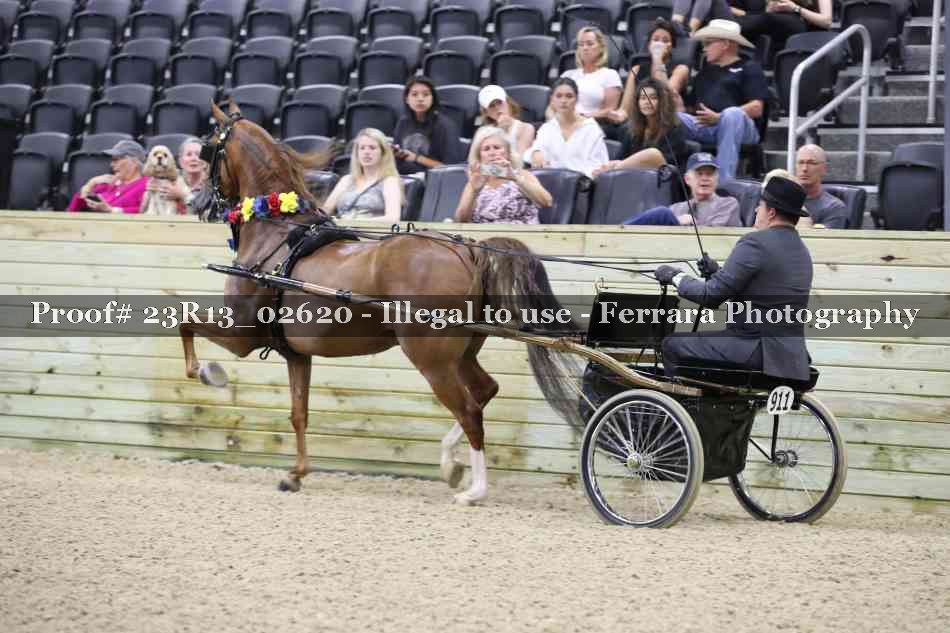 Proof 23R13_02620