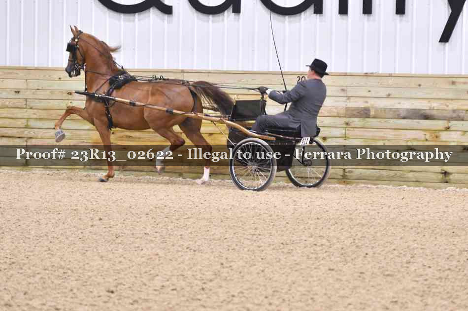 Proof 23R13_02622