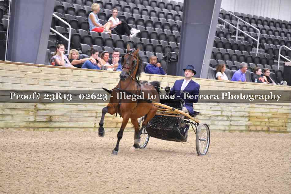 Proof 23R13_02623