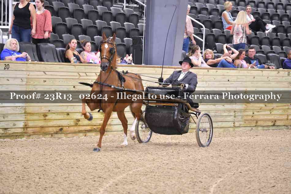 Proof 23R13_02624