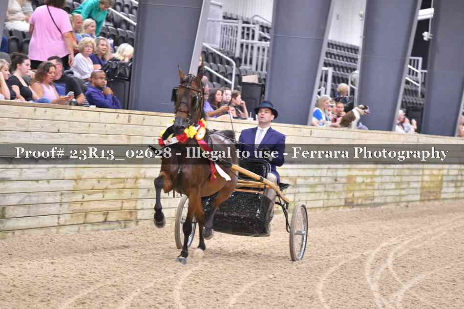 Proof 23R13_02628