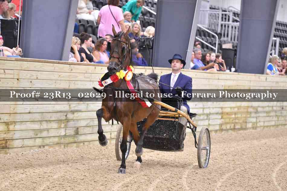 Proof 23R13_02629
