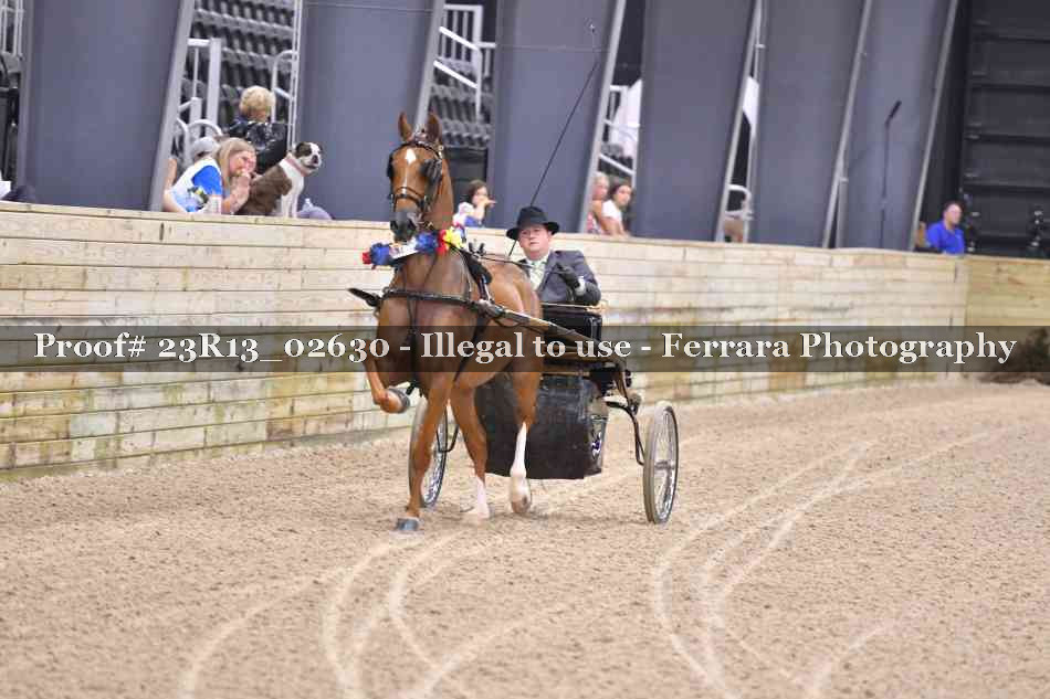 Proof 23R13_02630