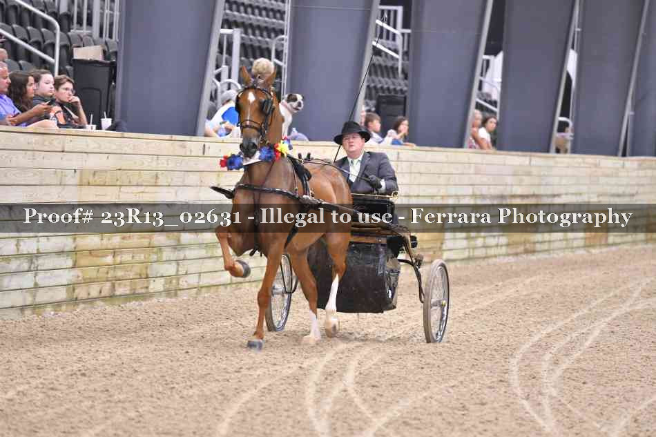 Proof 23R13_02631