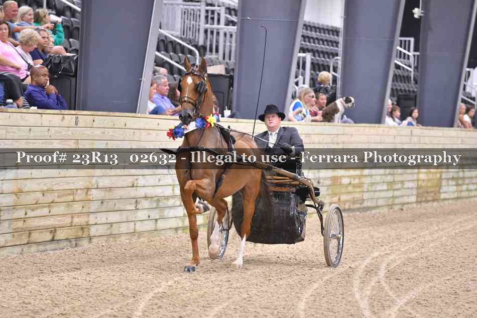 Proof 23R13_02632