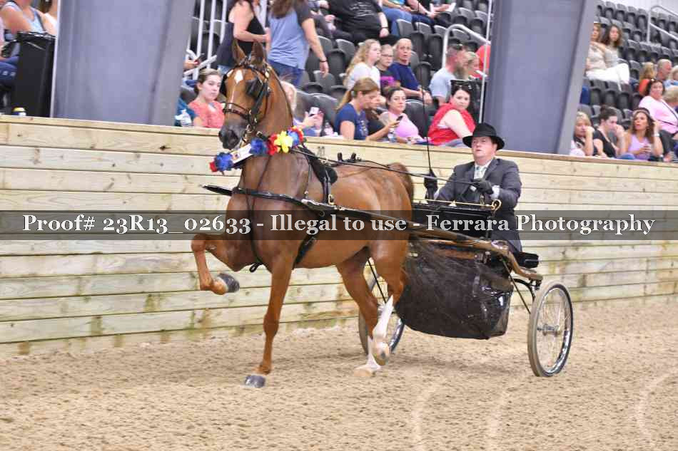 Proof 23R13_02633