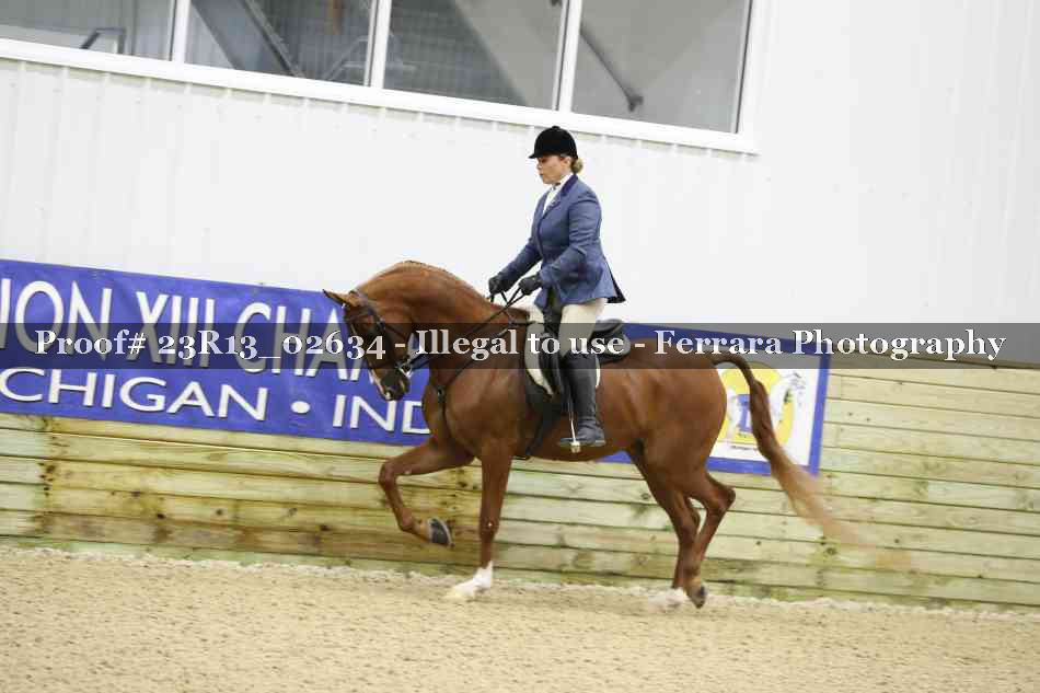 Proof 23R13_02634