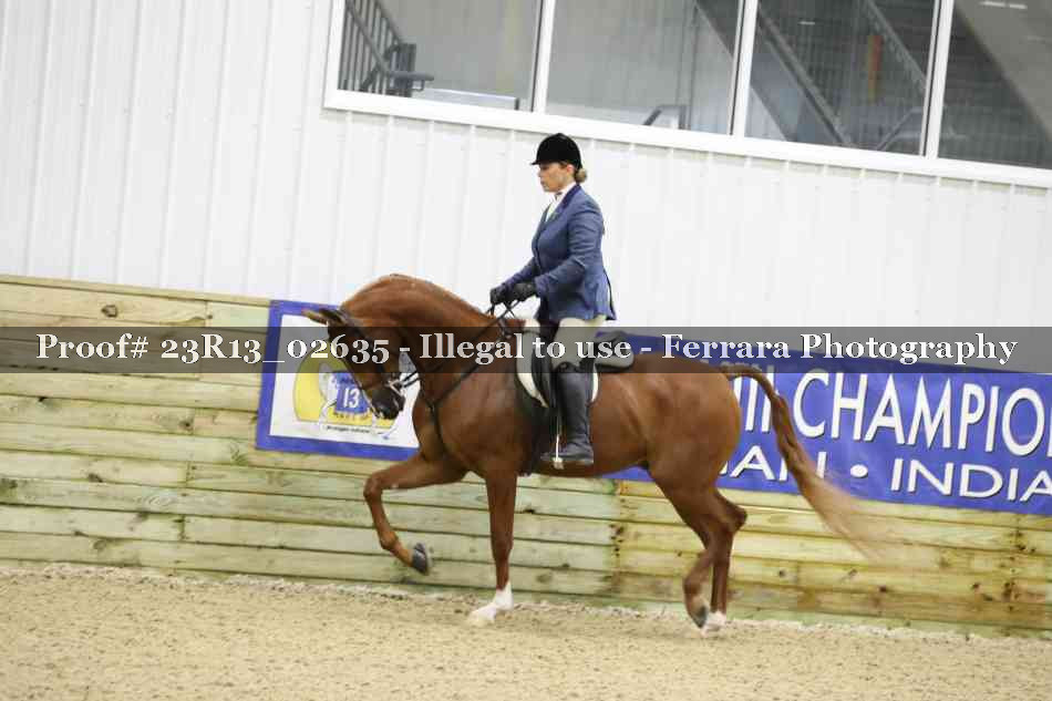Proof 23R13_02635