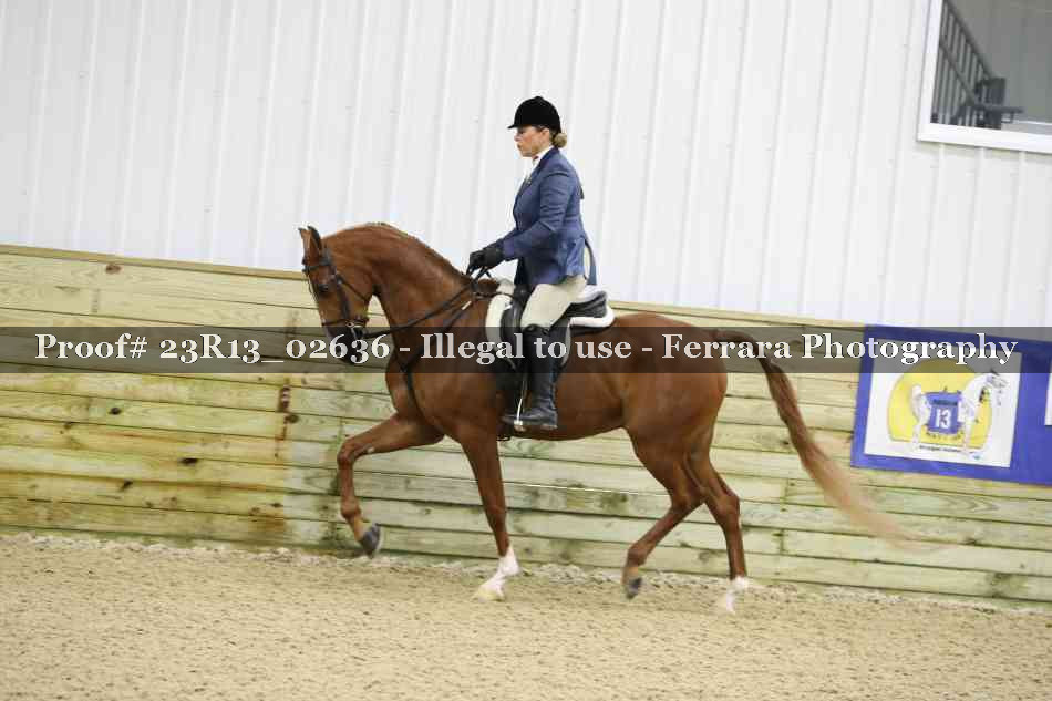 Proof 23R13_02636