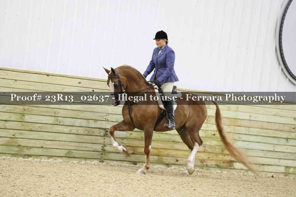 Proof 23R13_02637