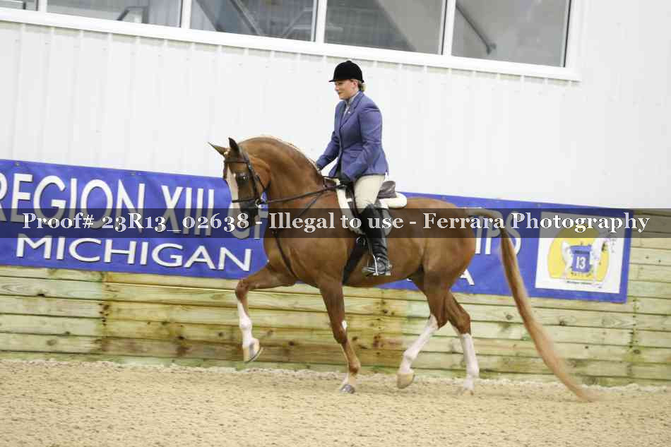 Proof 23R13_02638