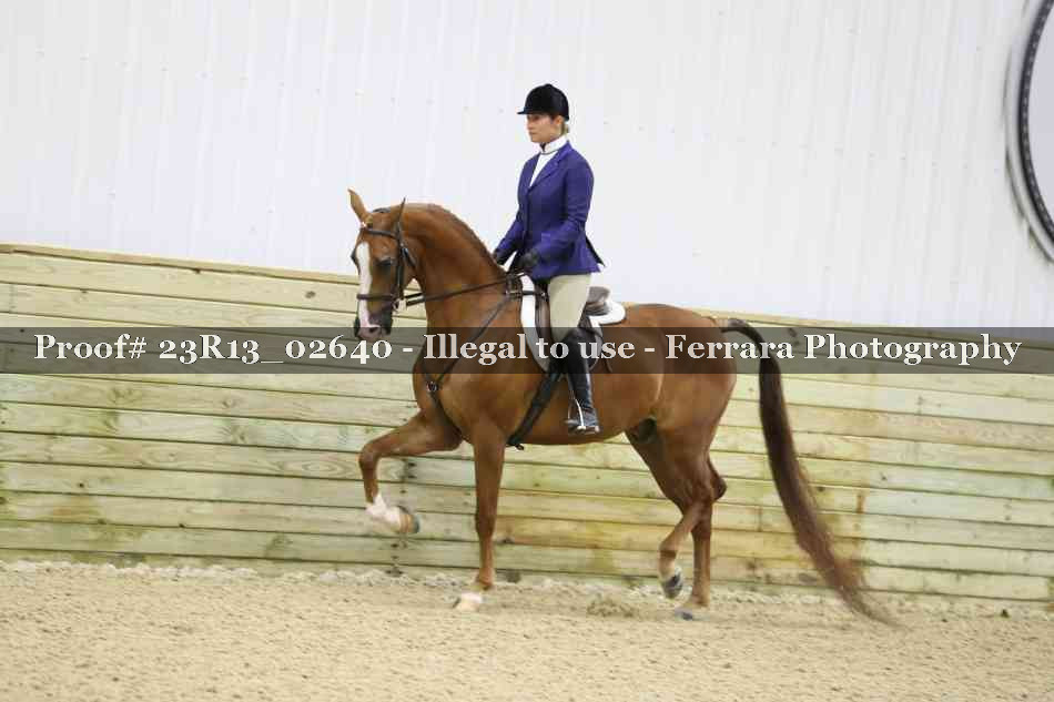 Proof 23R13_02640