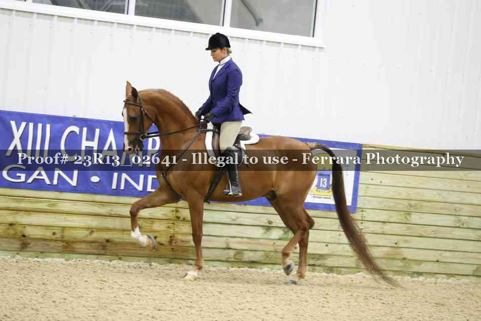 Proof 23R13_02641