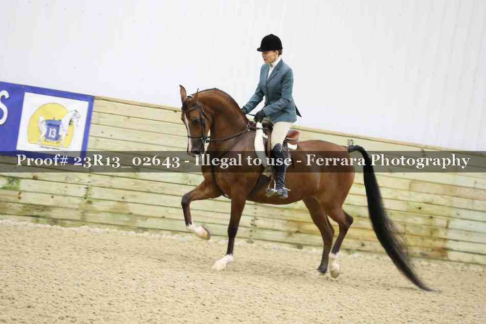 Proof 23R13_02643