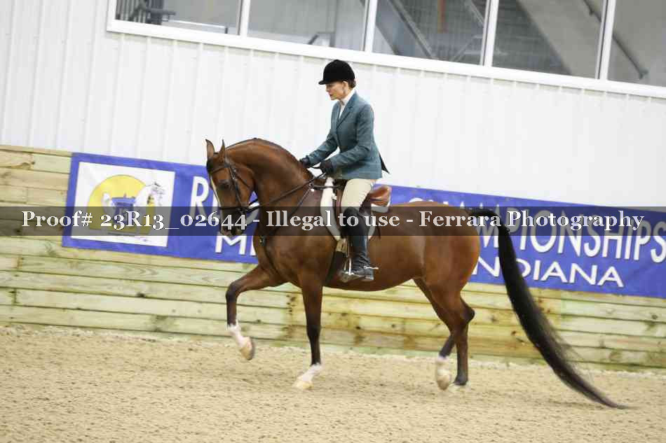 Proof 23R13_02644