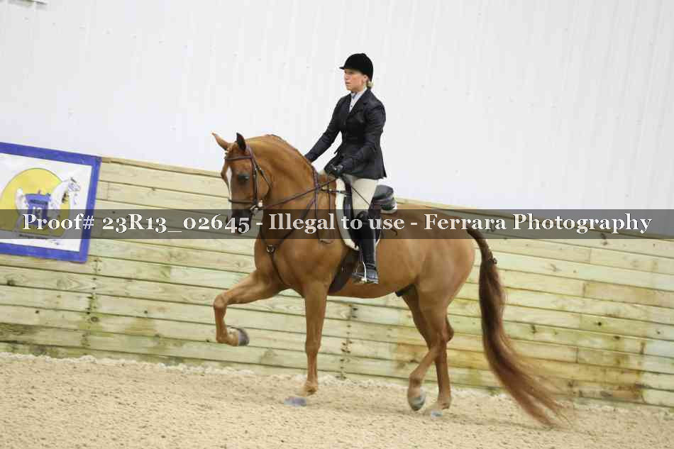 Proof 23R13_02645