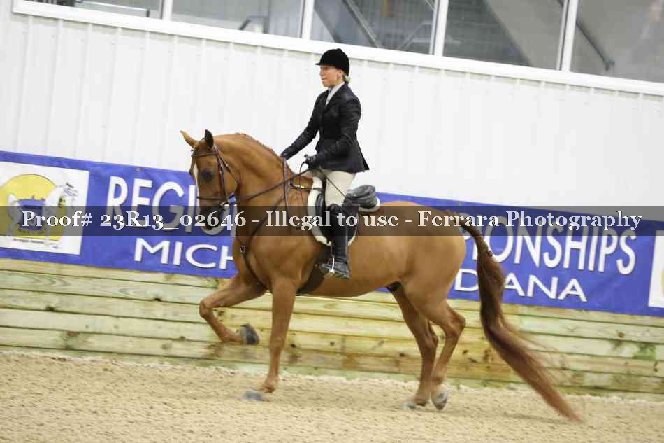 Proof 23R13_02646
