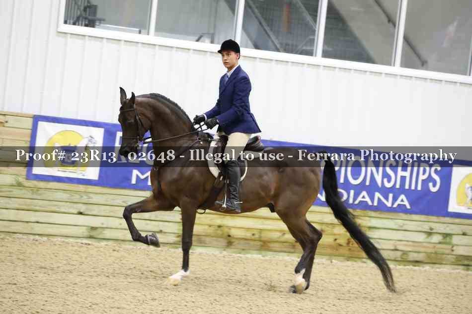Proof 23R13_02648